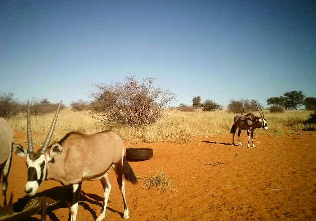 IMG-20170816-WA0004-e1513166526398