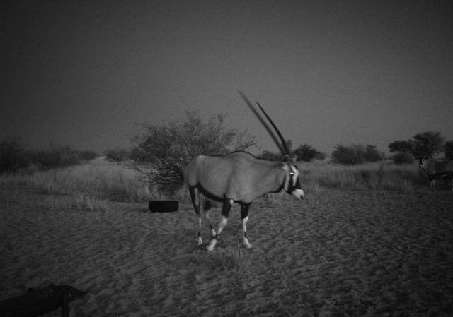 IMG-20170816-WA0014-e1513166439915